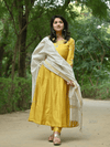 Sunehri Grace Anarkali Set
