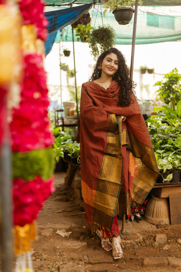 ✨Kanmani Grace inKanchi Cotton Silk Zari Elegance ✨