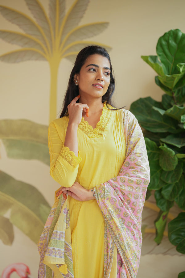 Kshitija Sunny Elegance Kurta Set
