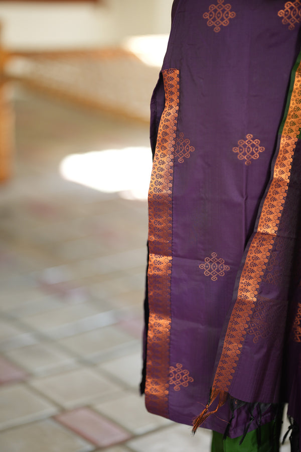 ๐ฟ โRegal Weave โ Purple & Green Pochampally Setโ