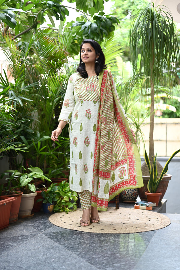 Dharna Botanical Breeze Kurta Set
