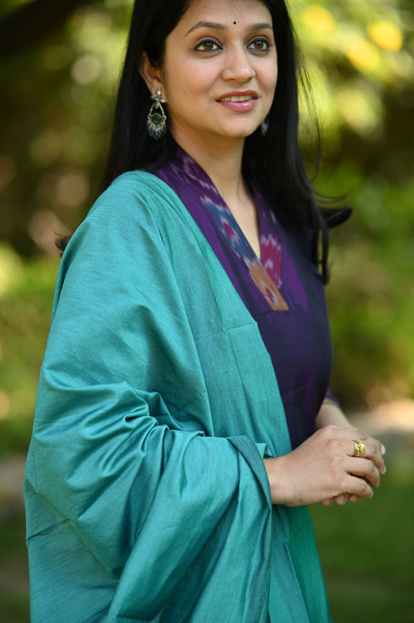 Anvika Pochampalli Silk Suit Set