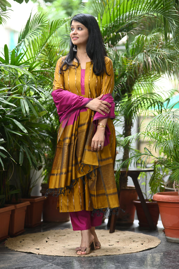 💫 Iraja- The Silk Harmony Embrace Regal Contrast in Pochampally Silk Elegance 💫