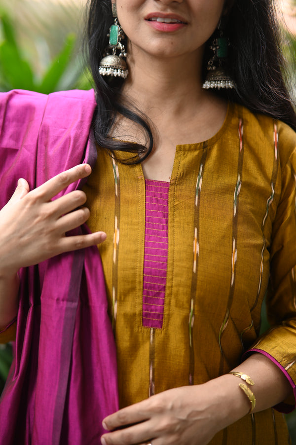 💫 Iraja- The Silk Harmony Embrace Regal Contrast in Pochampally Silk Elegance 💫