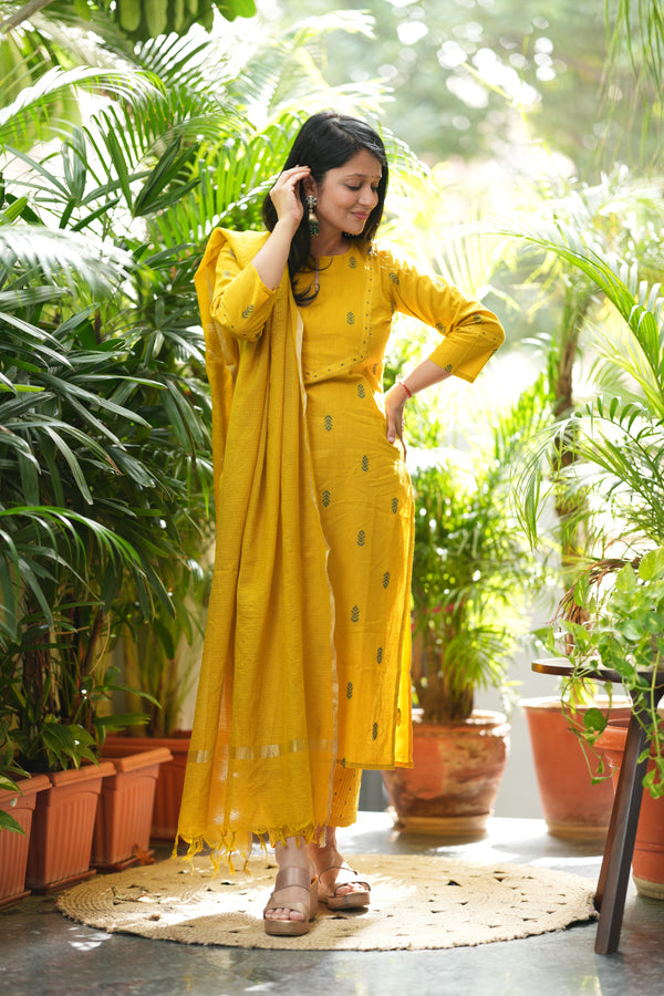 Pure Chettinad Weaving Handloom south cotton suit -4 colours