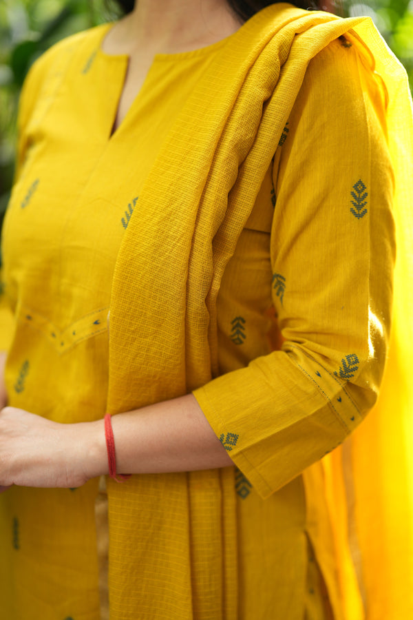 Pure Chettinad Weaving Handloom south cotton suit -4 colours