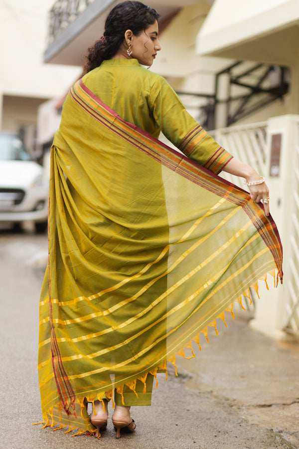 Narayanpeth Ivana Lined Suit Set