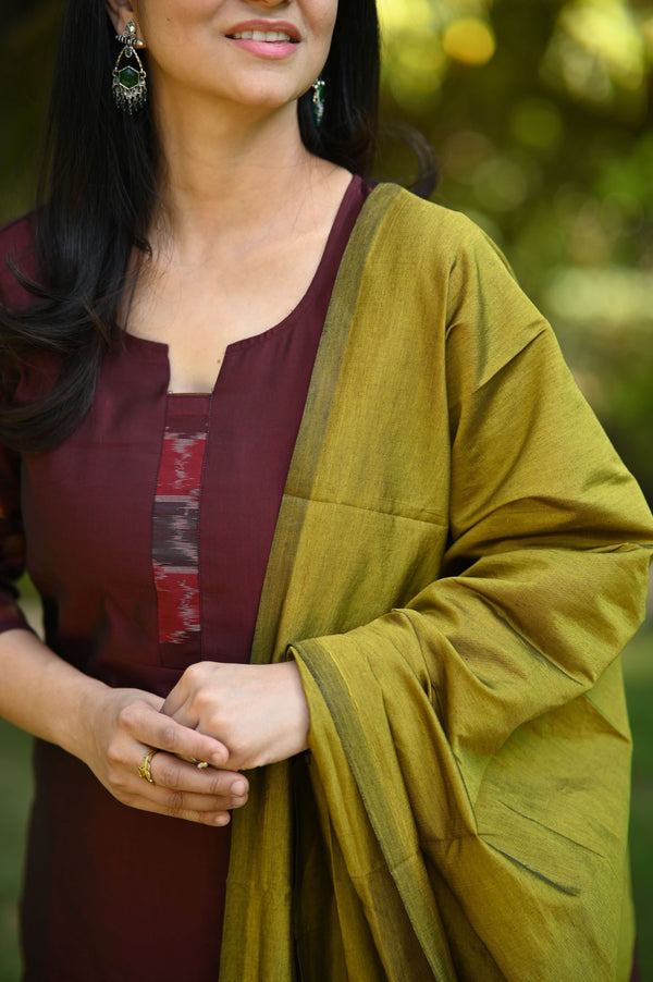Tanvika Pochampalli Silk Suit Set