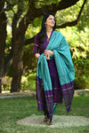 Anvika Pochampalli Silk Suit Set