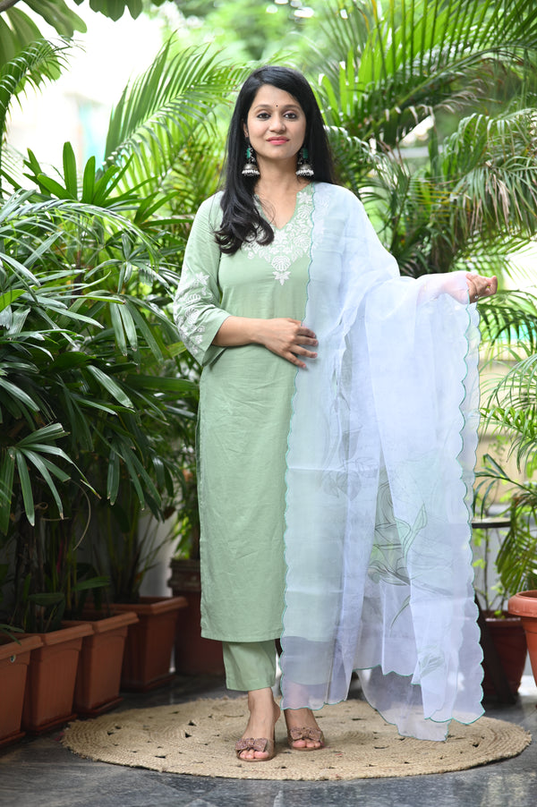 🌿 Eira – The Gentle Breeze Glow in Subtle Sophistication with Cotton & Organza Elegance 🌿