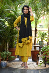 Basant Cotton Embroidery Suit Sets