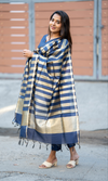💙 RajnaviCommand the Spotlight in Royal Blue Banarasi Silk Grandeur 💙