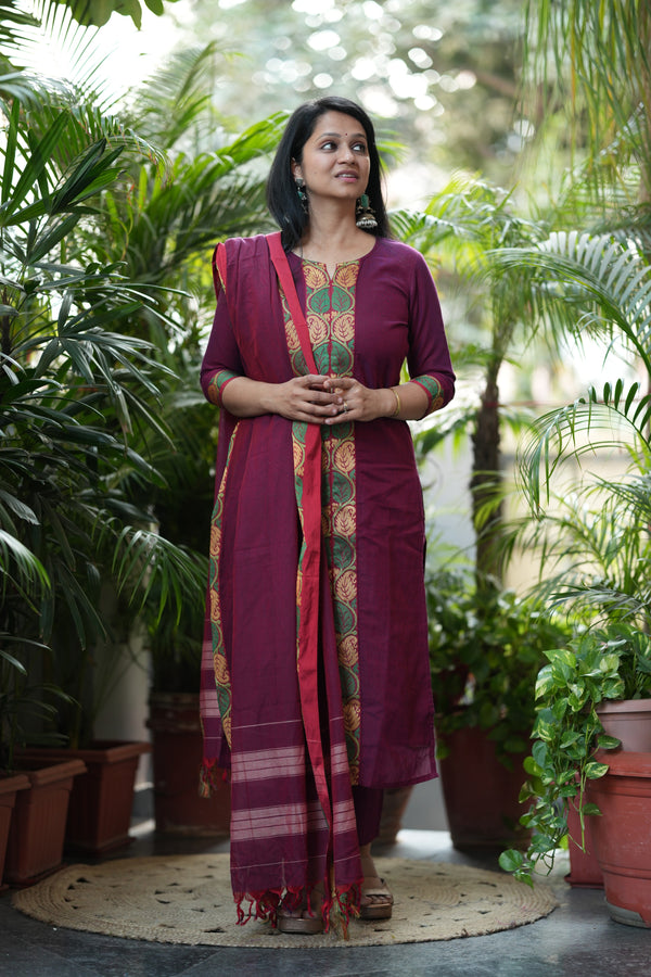 Narayanpeth Rajeshwari Lined Suit Set
